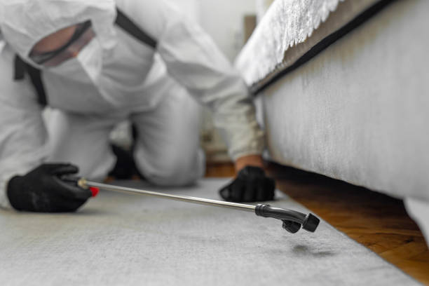 Professional Termite Control technician working in Three Oaks, MI