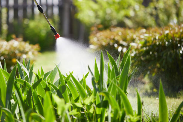 24/7 Emergency Termite Control experts in Three Oaks, MI